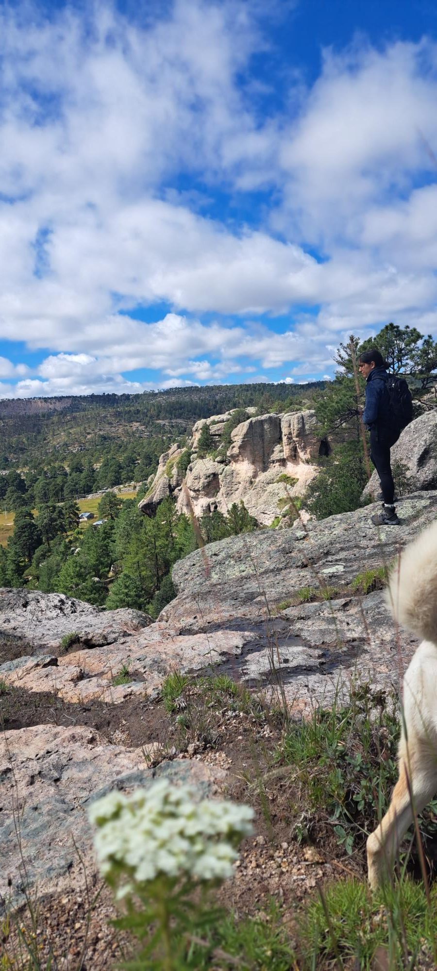 divisando el horizonte