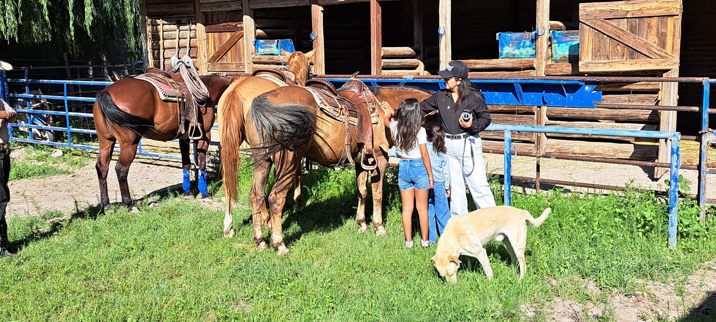 preparando paseos caballo